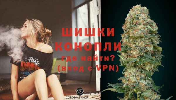 мдпв Козельск