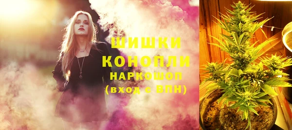 мдпв Козельск